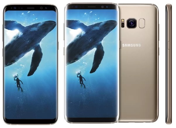 Samsung Galaxy S8 Plus (64 GB)