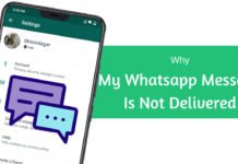 Why My Whatsapp Message Is Not Delivered