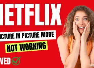 Fix Picture-in-Picture Mode Not Working On Netflix