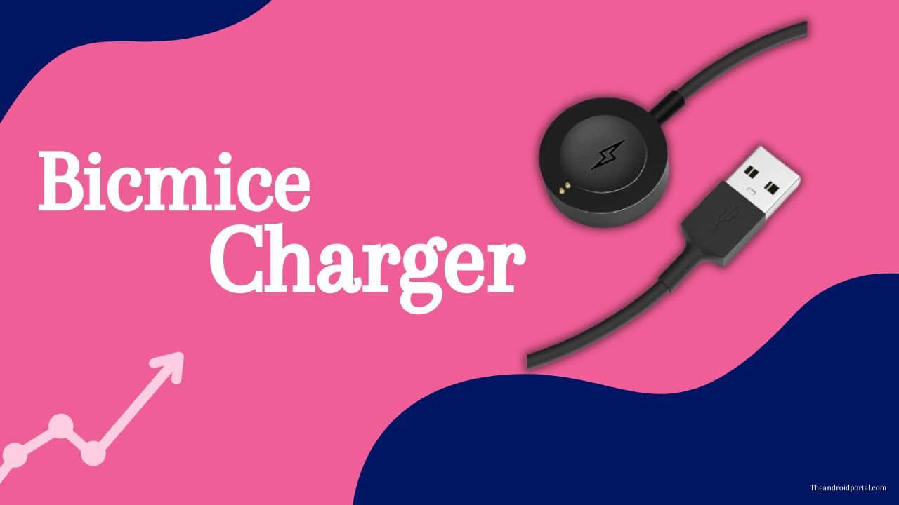 Bicmice Charger