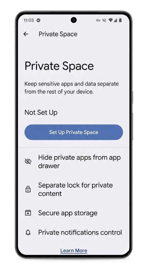 Private Space Not Appearing