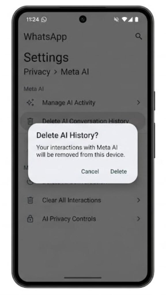 Managing and Deleting Your History-Privacy and Data