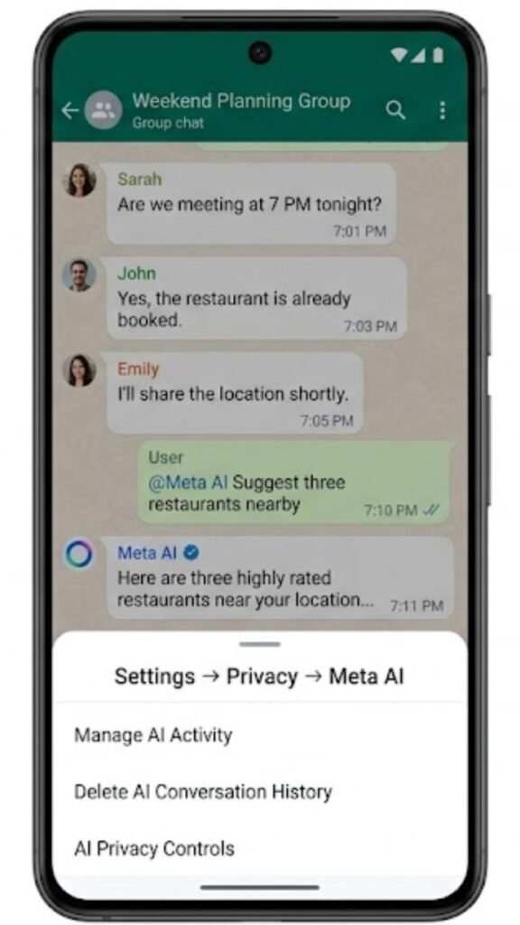 What the Meta AI Assistant Can See-Privacy and Data